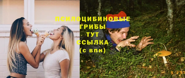 стаф Абдулино