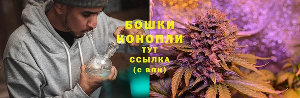 2c-b Абаза